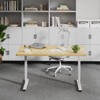 Neva X FlexiSpot E5 Electric Pro Standing Desk