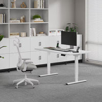 Neva X FlexiSpot E5 Electric Pro Standing Desk
