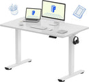 Neva X FlexiSpot Standing Desk (Single Motor)