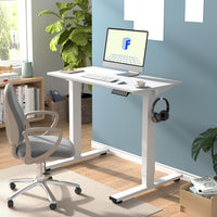 Neva X FlexiSpot Standing Desk (Single Motor)