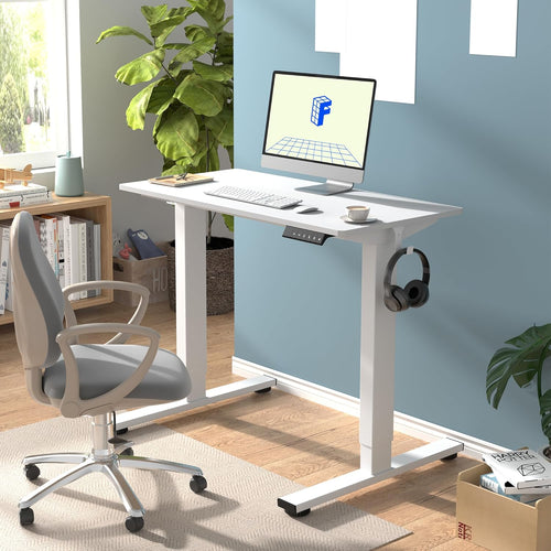 Neva X FlexiSpot Standing Desk (Single Motor) – product image 2
