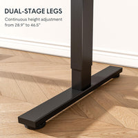 Neva X FlexiSpot Standing Desk (Single Motor)