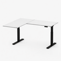 Neva X FlexiSpot L shape Standing Desk