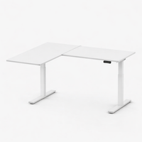 Neva X FlexiSpot L shape Standing Desk