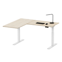Neva X FlexiSpot L shape Standing Desk