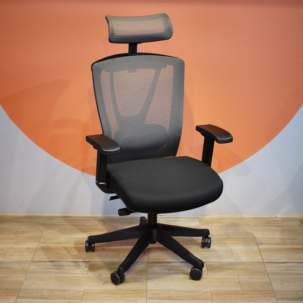 FlexiSpot BS14 Ergonomic Office Chair – product image 2