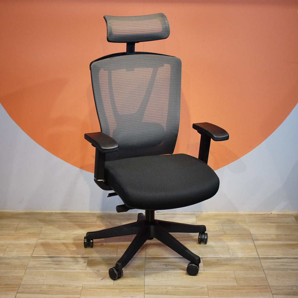 FlexiSpot BS14 Ergonomic Chair
