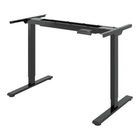Neva X FlexiSpot E1 Pro Electric Standing Desk ( Dual Motor )