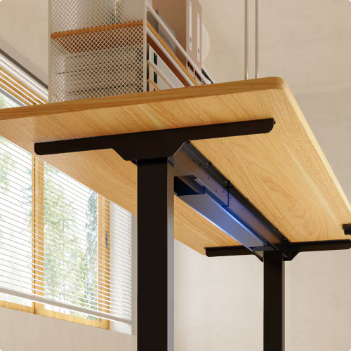 Neva X FlexiSpot E1 Pro Electric Standing Desk ( Dual Motor ) – product image 11