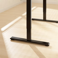 Neva X FlexiSpot E1 Pro Electric Standing Desk ( Dual Motor )