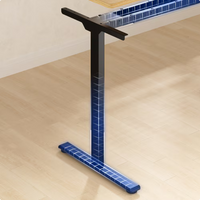 Neva X FlexiSpot E1 Pro Electric Standing Desk ( Dual Motor )