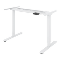 Neva X FlexiSpot E1 Pro Electric Standing Desk ( Dual Motor )