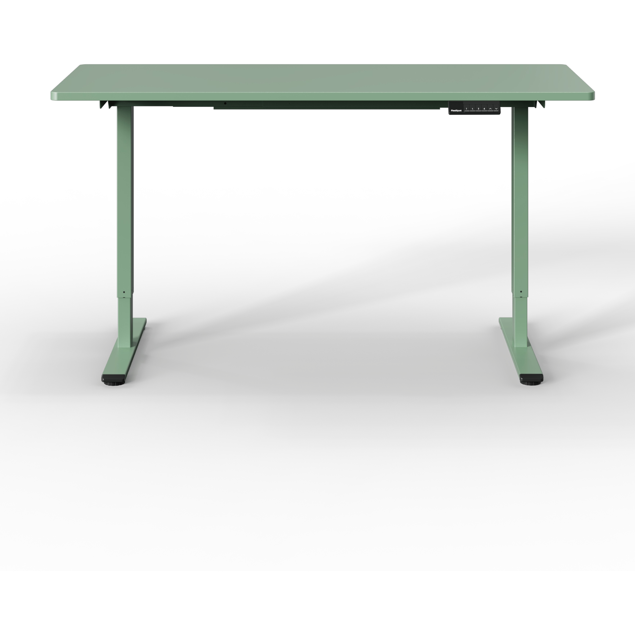 Neva X FlexiSpot E1 Pro Electric Standing Desk ( Dual Motor )
