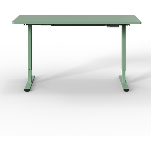 Neva x FlexiSpot E1 Pro dual-motor electric standing desk