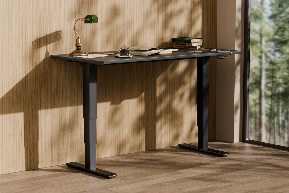 Neva X FlexiSpot E5 Electric Pro Standing Desk ( Dual Motor 3 Stage ) – product image 6
