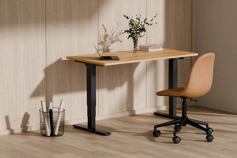 Neva X FlexiSpot E5 Electric Pro Standing Desk ( Dual Motor 3 Stage ) – product image 5
