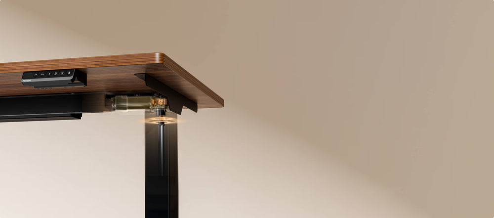 Neva X FlexiSpot E5 Electric Pro Standing Desk ( Dual Motor 3 Stage ) – product image 16