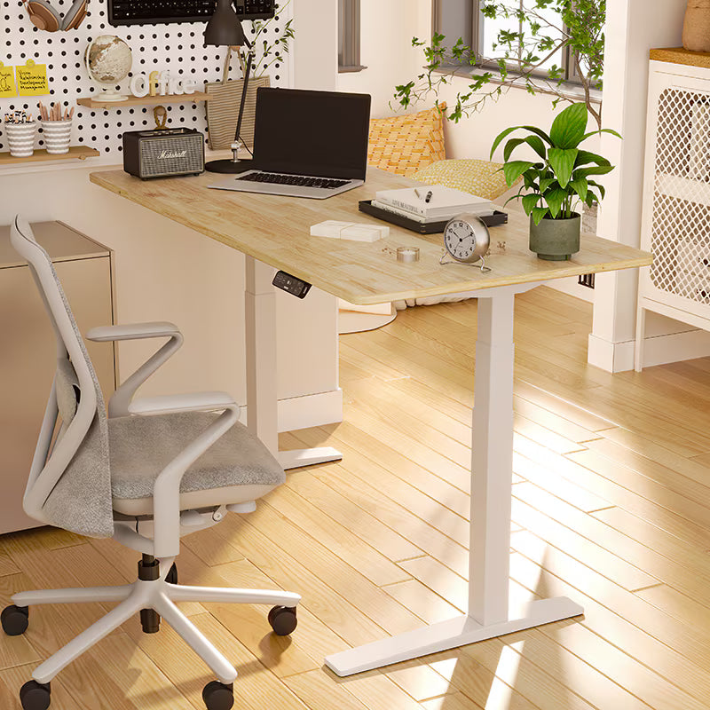 Neva X FlexiSpot E7 Pro Premium Dual-Motor Electric Standing Desk – product image 13