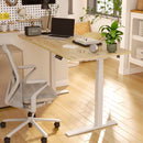 Neva X FlexiSpot E7 Pro Dual-Motor Electric Standing Desk