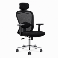 Neva ErgoLine Ergonomic Office Chair