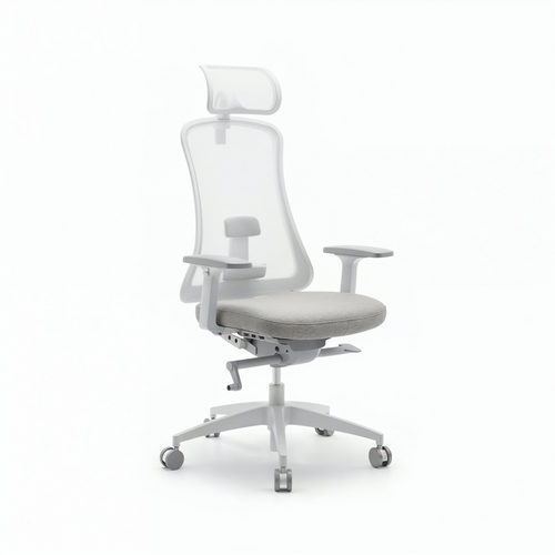 FlexiSpot Sheer ergonomic office chair in white