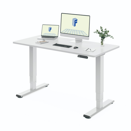 Neva x FlexiSpot E5 Lite dual-motor electric standing desk