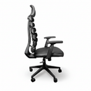 Ergo Chair