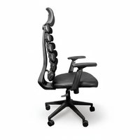 Ergo Chair