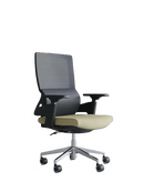 Flex Chair