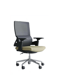 Flex Chair