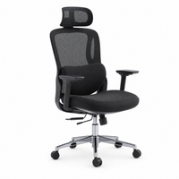 Neva Curve Ergonomic Office Chair