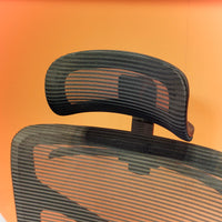 ForteX Chair