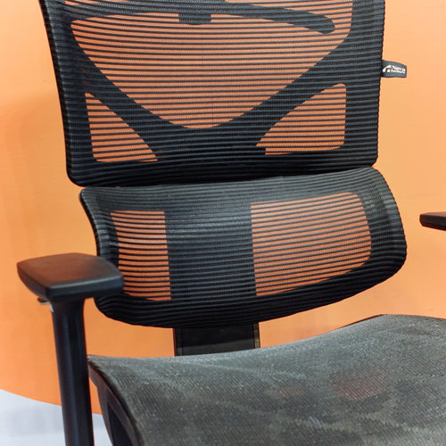 Neva ForteX Ergonomic Office Chair – product image 2