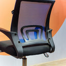 Basic Chair