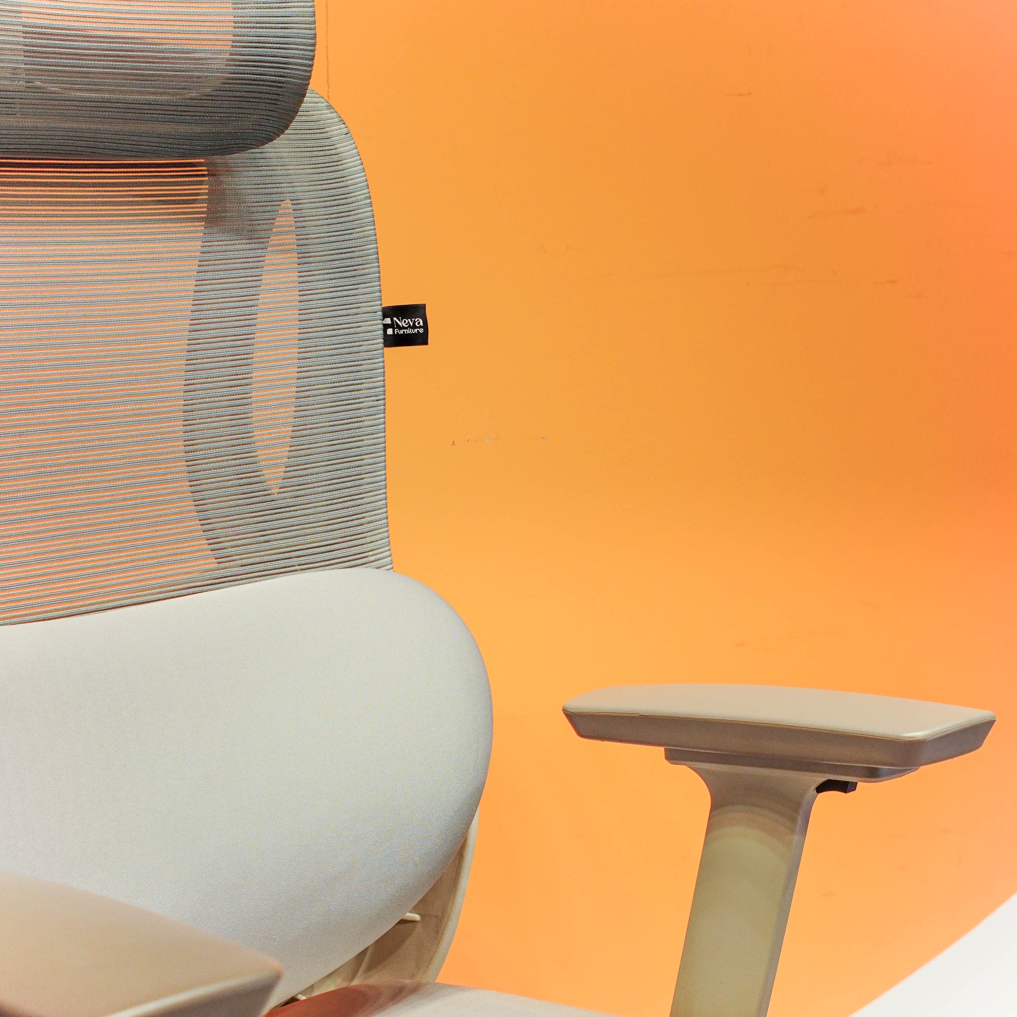 Curve Chair