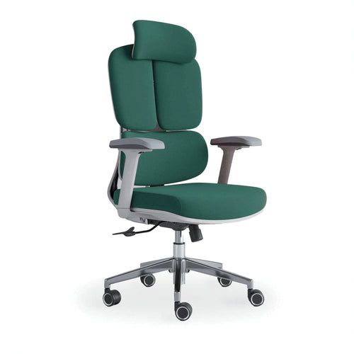 Neva Axis Pro premium ergonomic office chair in green
