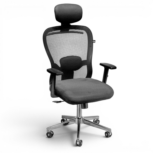 Neva ErgoLine ergonomic office chair in grey