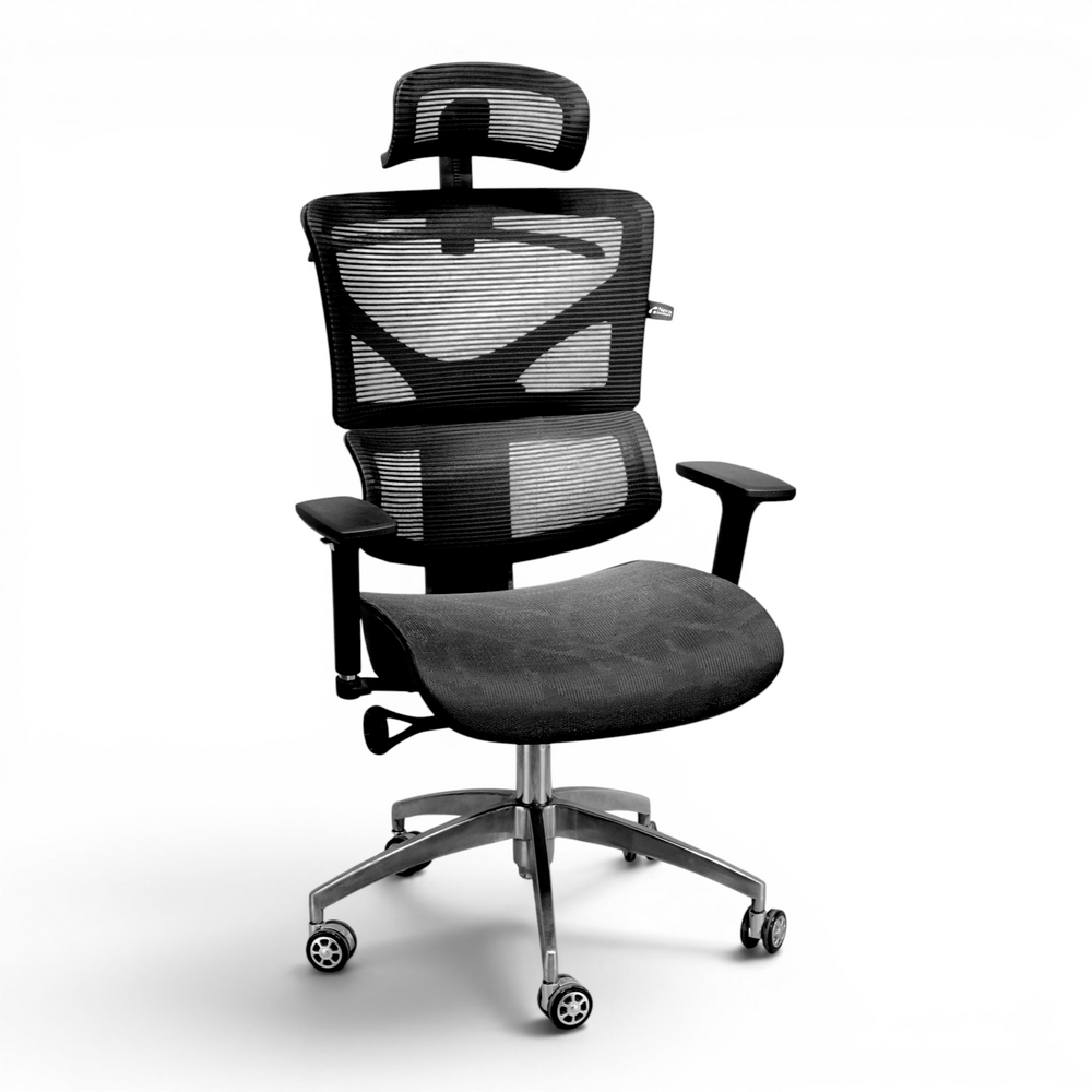 Neva ForteX ergonomic office chair in black
