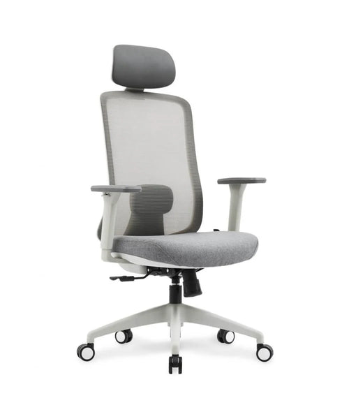 Neva Motion ergonomic task chair in grey