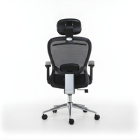 ErgoLine Chair