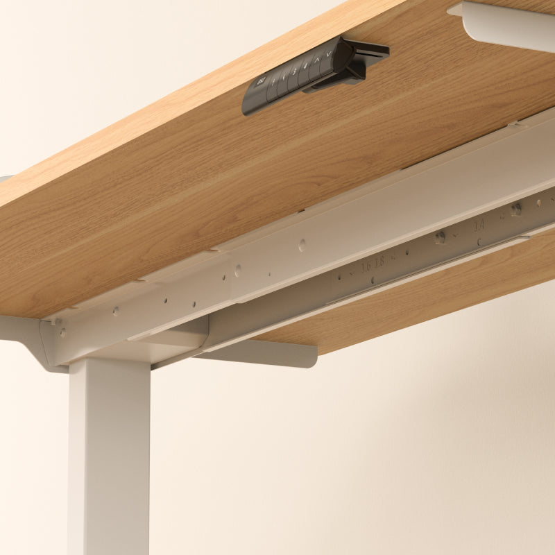 Neva × FlexiSpot E5 Lite — Electric Standing Desk (Dual Motor, 3-Stage) – product image 7