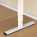 Neva X FlexiSpot E5 Lite Electric Standing Desk ( Dual Motor 3 stage )