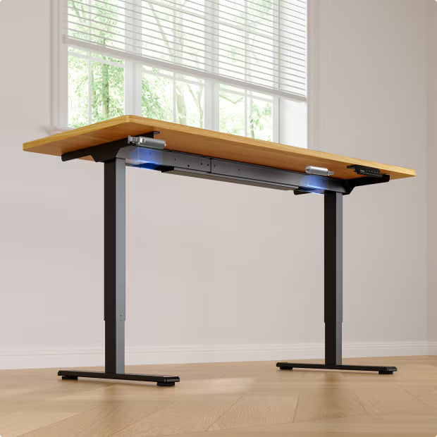 Neva X FlexiSpot E1 Pro Electric Standing Desk ( Dual Motor ) – product image 10
