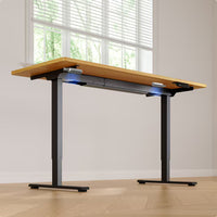Neva X FlexiSpot E1 Pro Electric Standing Desk ( Dual Motor )