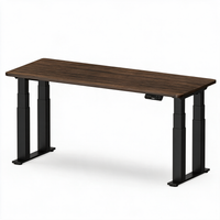 Neva X FlexiSpot E7 Plus V2 Premium Four-Leg Standing Desk
