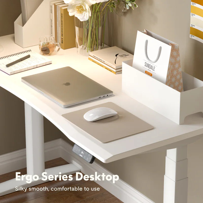Neva X FlexiSpot E5 Electric Pro Standing Desk ( Dual Motor 3 Stage ) – product image 10