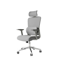 Curve Chair
