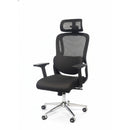 Curve Chair