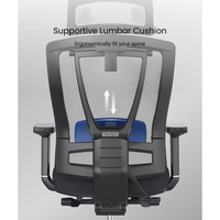 FlexiSpot BS14 rear lumbar-support diagram with the support highlighted in blue