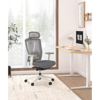 FlexiSpot ergonomic mesh office chair in grey and white with adjustable lumbar support and headrest.